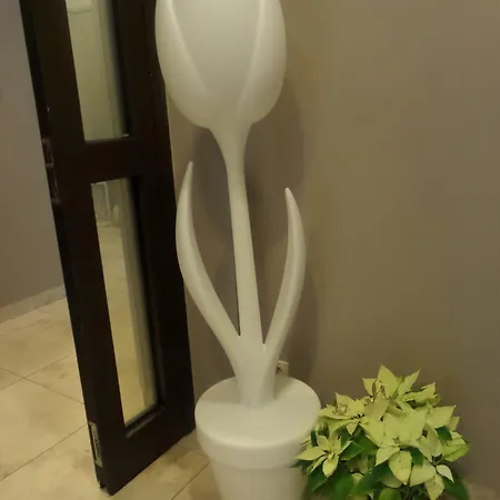 Golden Tulip Center Hotel Cracovia