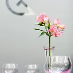 골든 튤립 크라코프 시티 센터 4*